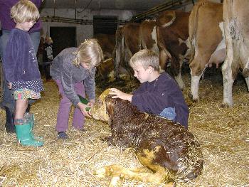 Familien mit Kindern auf dem Bauernhof - Familienfreundlicher Bauernhof