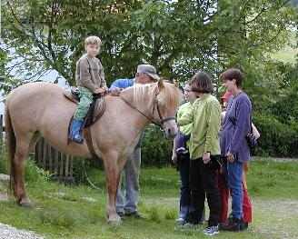 Bauernhoftiere Pferde