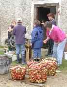 Apfelernte auf dem Bauernhof Fingerm�hl