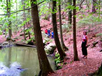 Urlaub auf dem Bauernhof - Herbst in Bayern