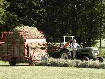 Heu Ernte mit dem Ladewagen aufnehmen