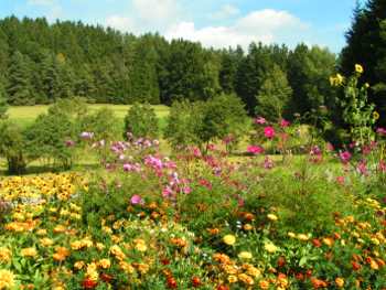 Sommerwiese Erholung und Entspannung für Jung und Alt