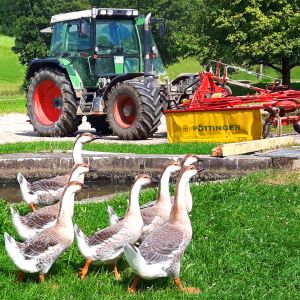 Bayerischer Wald Erlebnisbauernhof in Bayern - Traktor, Tiere