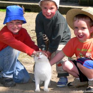 bayern-kinderbauernhof-familienurlaub-katzen-streicheltiere