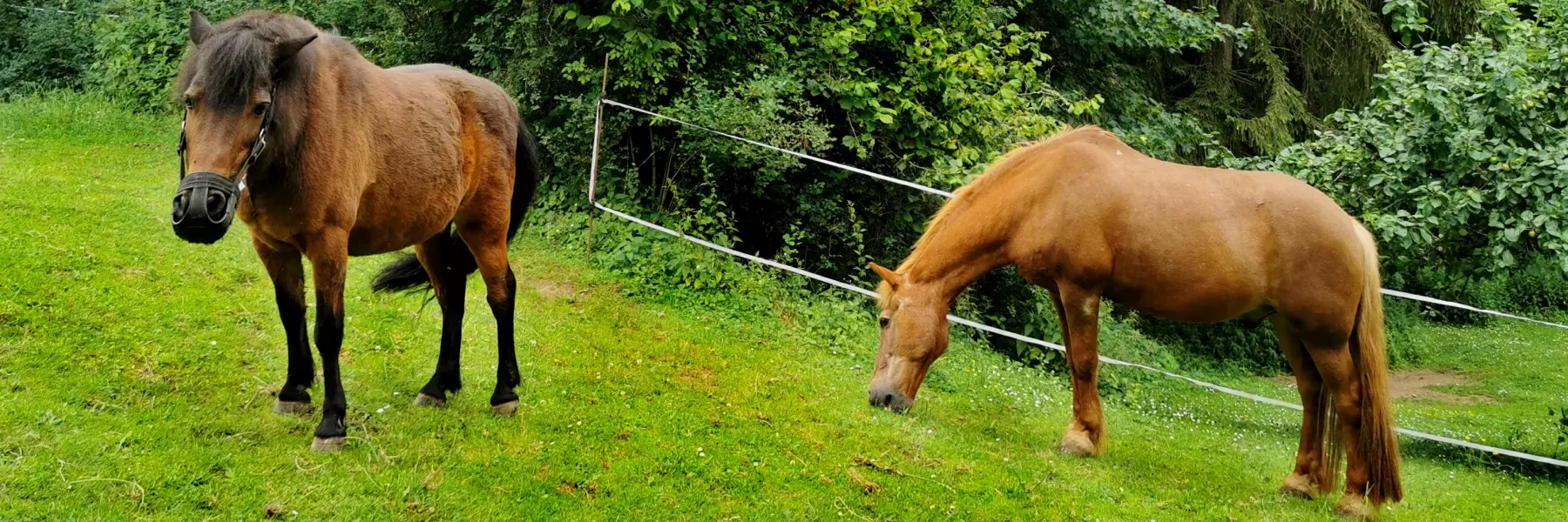 Bauernhofurlaub in Bayern