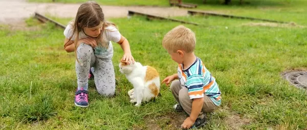 kinderbauernhof-bayerischer-wald-bilder-tiere-fotos